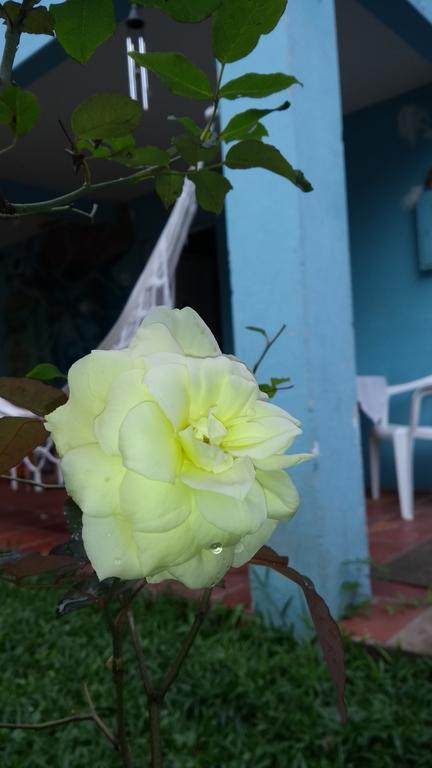 Holístico Casa De Las Abuelas Balneário Camboriú