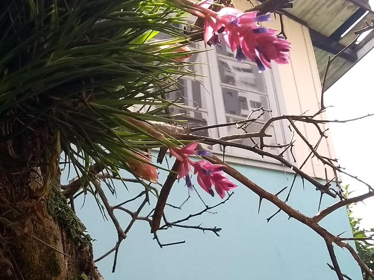 Holístico Casa De Las Abuelas *