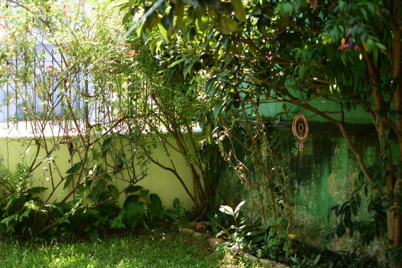 Holístico Casa De Las Abuelas Balneário Camboriú